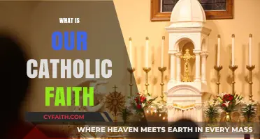 Understanding Our Catholic Faith: Beliefs, Traditions, and Spiritual Journey