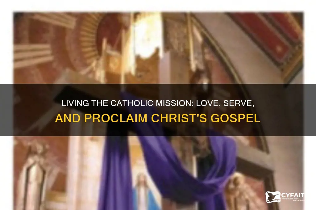 what is our main mission as catholics