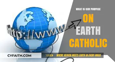 Catholic Perspective: Discovering Our Purpose on Earth and God's Plan
