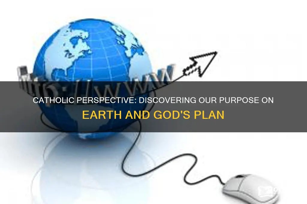 what is our purpose on earth catholic