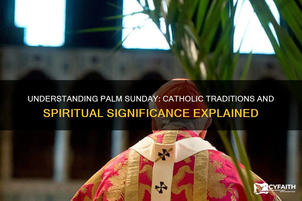 what is palm sunday for catholics