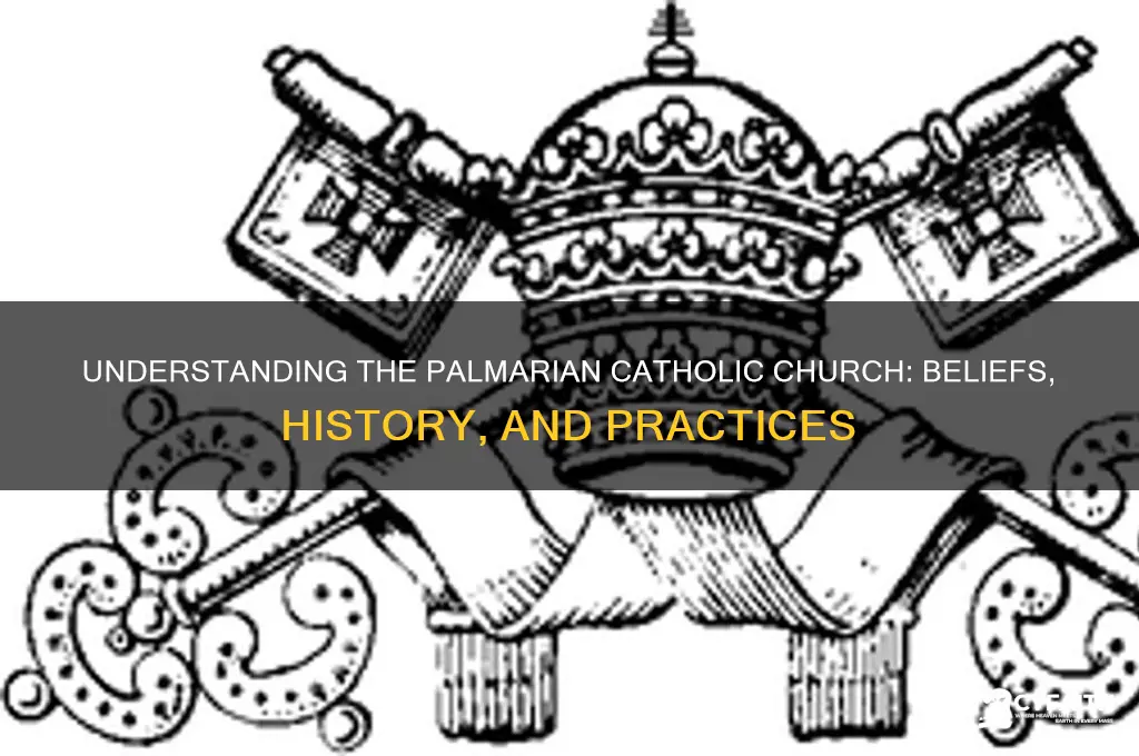 what is palmarian catholic