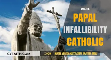 Understanding Papal Infallibility: A Catholic Doctrine Explained Simply