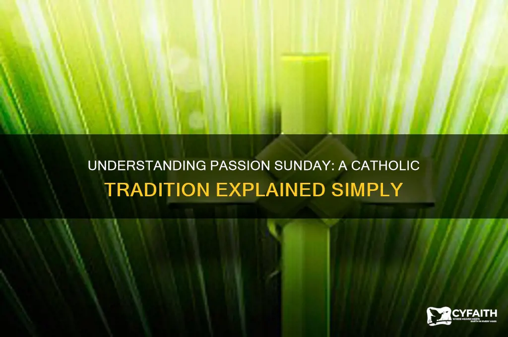 what is passion sunday catholic