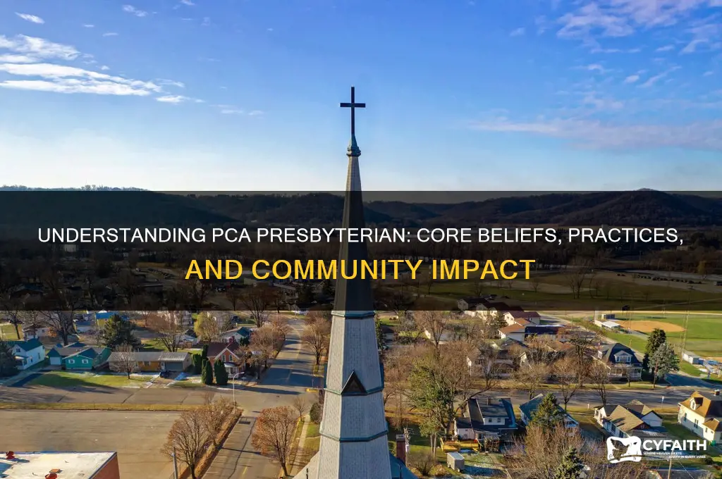 what is pca presbyterian