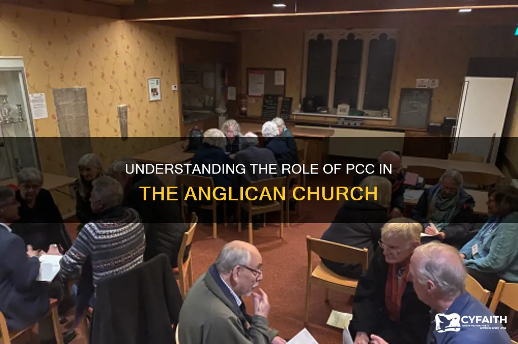 what is pcc in anglican church