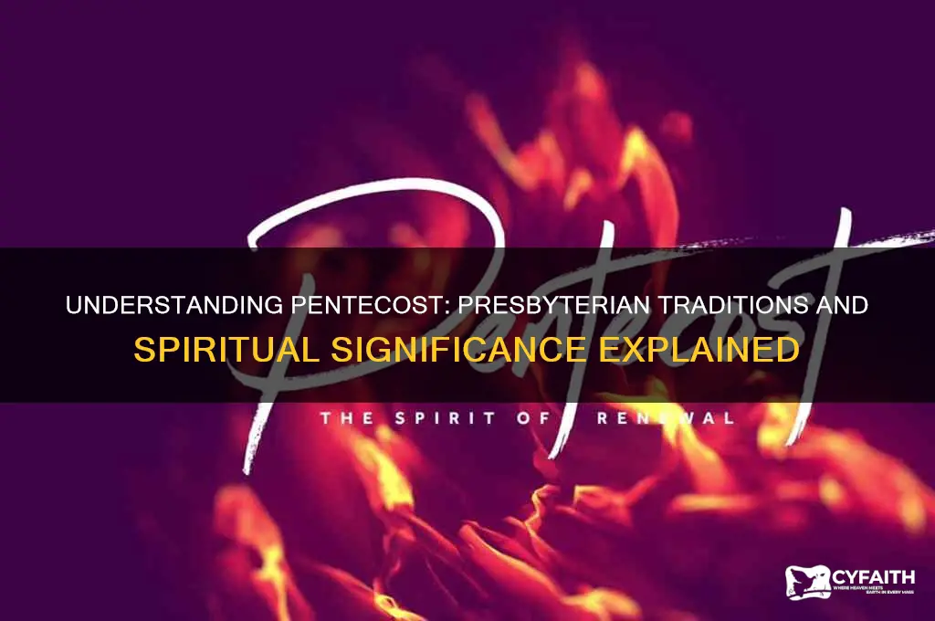 what is pentecost in the presbyterian
