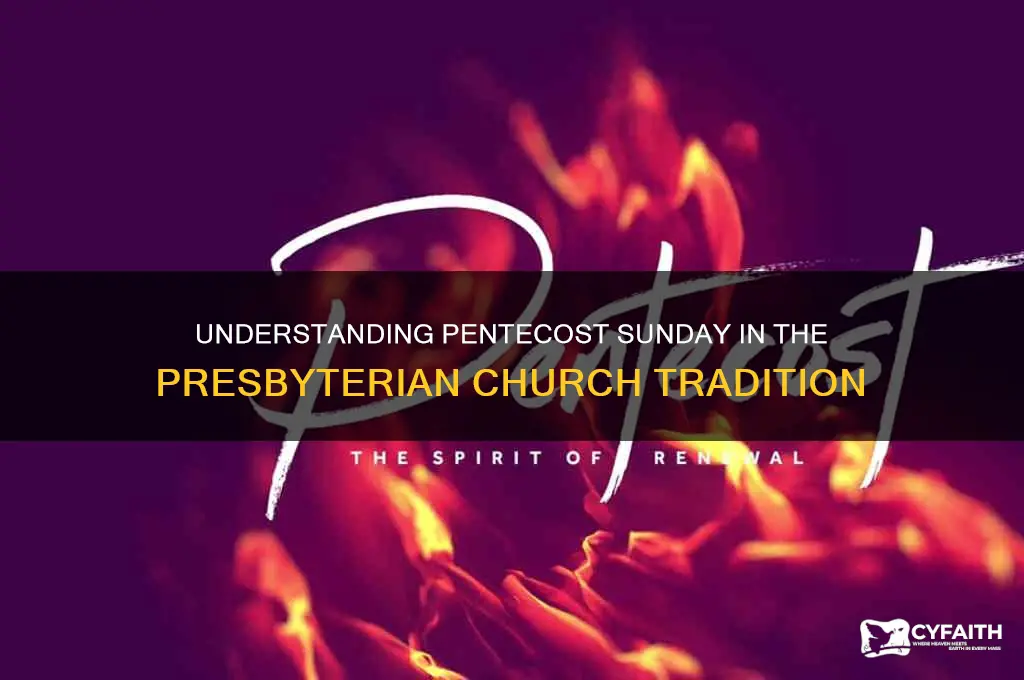 what is pentecost sunday for presbyterian church