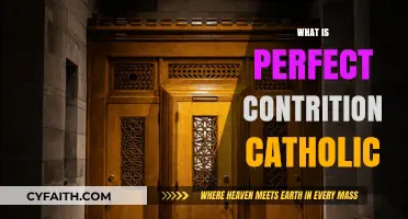 Understanding Perfect Contrition in Catholic Theology: A Path to Forgiveness