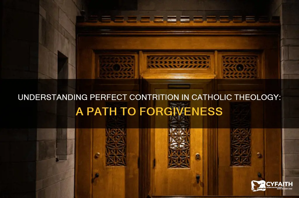 what is perfect contrition catholic