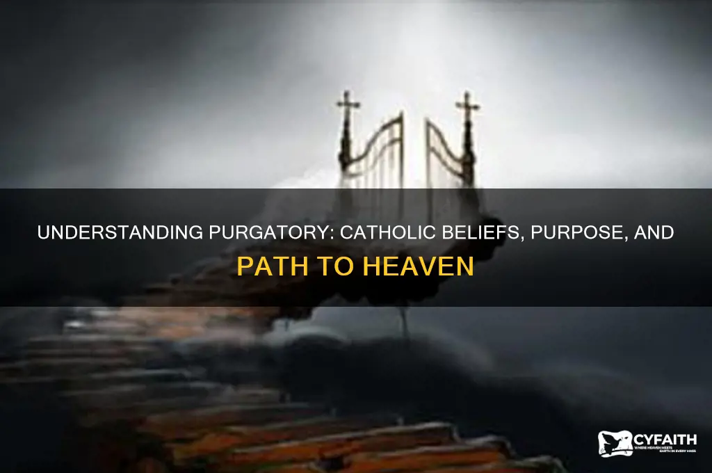 what is pergatory for catholics