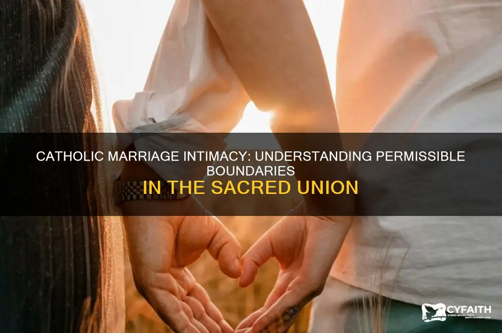 what is permissible in the marriage bed catholic