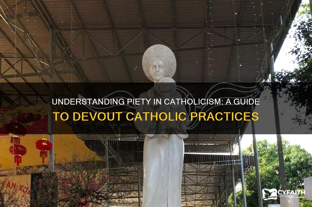 what is piety catholic