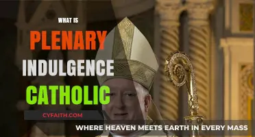 Understanding Plenary Indulgence: A Catholic Guide to Spiritual Grace