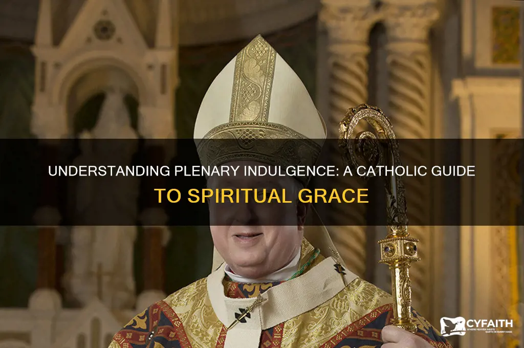 what is plenary indulgence catholic