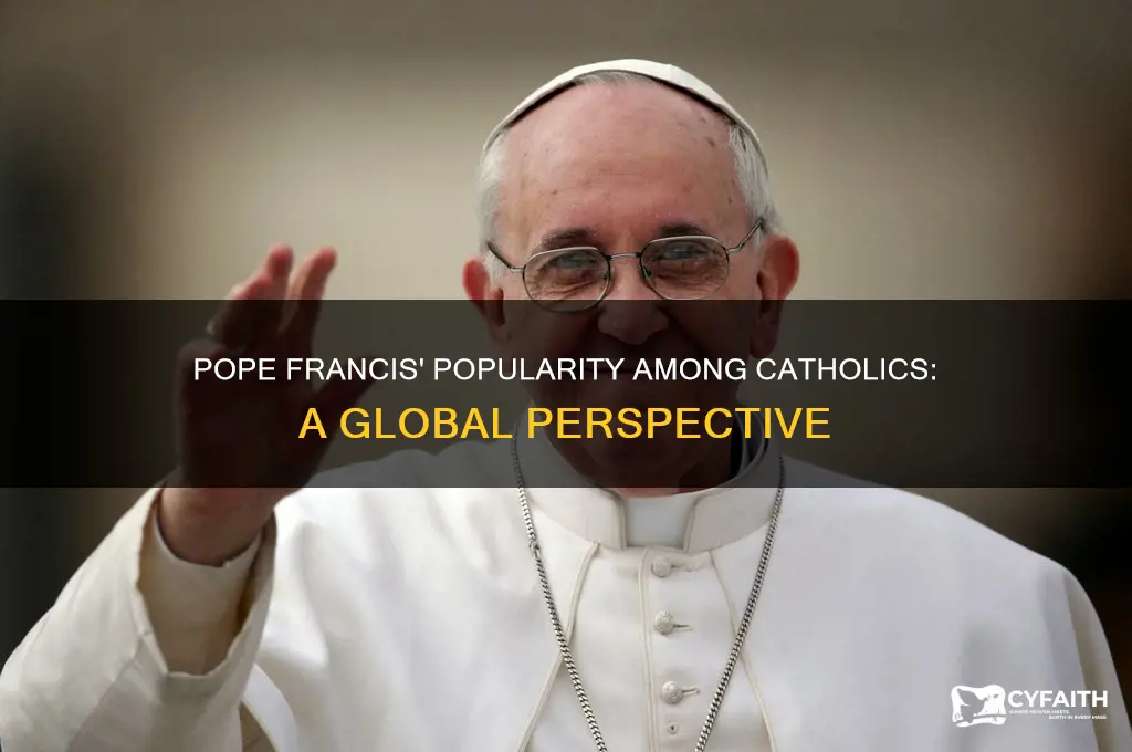 what is pope francis popularity amoun catholics