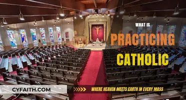 Understanding the Faith: What It Means to Be a Practicing Catholic