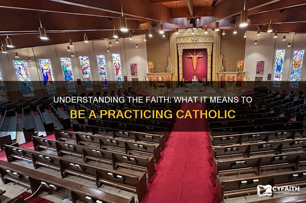 what is practicing catholic