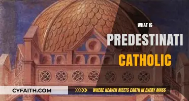 Understanding Predestination in Catholic Theology: Doctrine, Grace, and Salvation