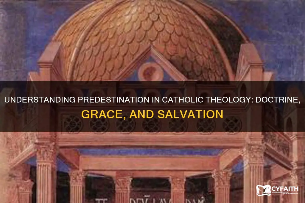what is predestination catholic