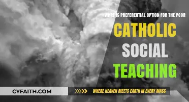 Preferential Option for the Poor: Catholic Social Teaching Explained