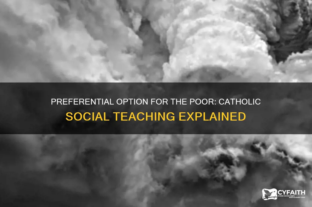 what is preferential option for the poor catholic social teaching