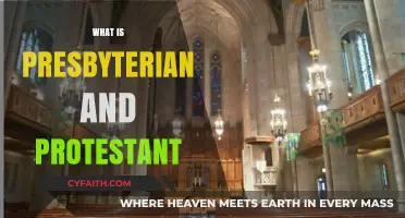 Understanding Presbyterian and Protestant Beliefs, Practices, and Historical Roots