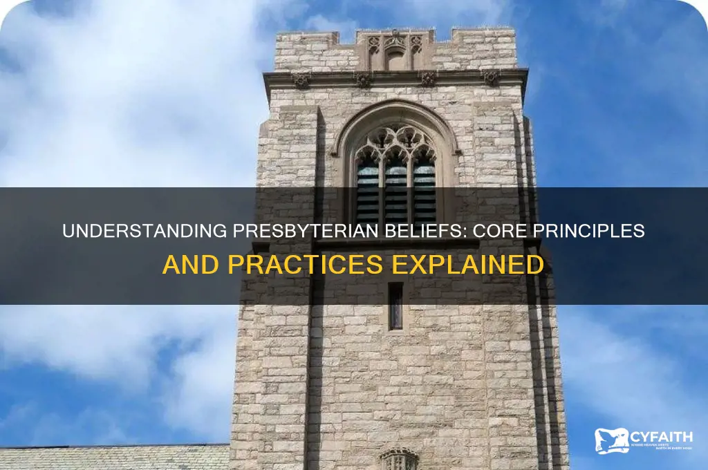 what is presbyterian belief