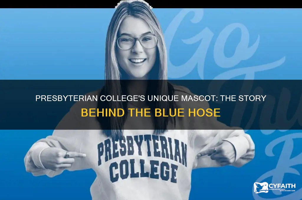 what is presbyterian blue hose mascot