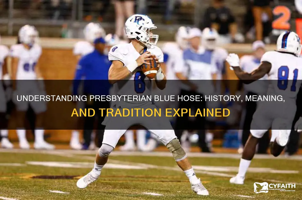 what is presbyterian blue hose