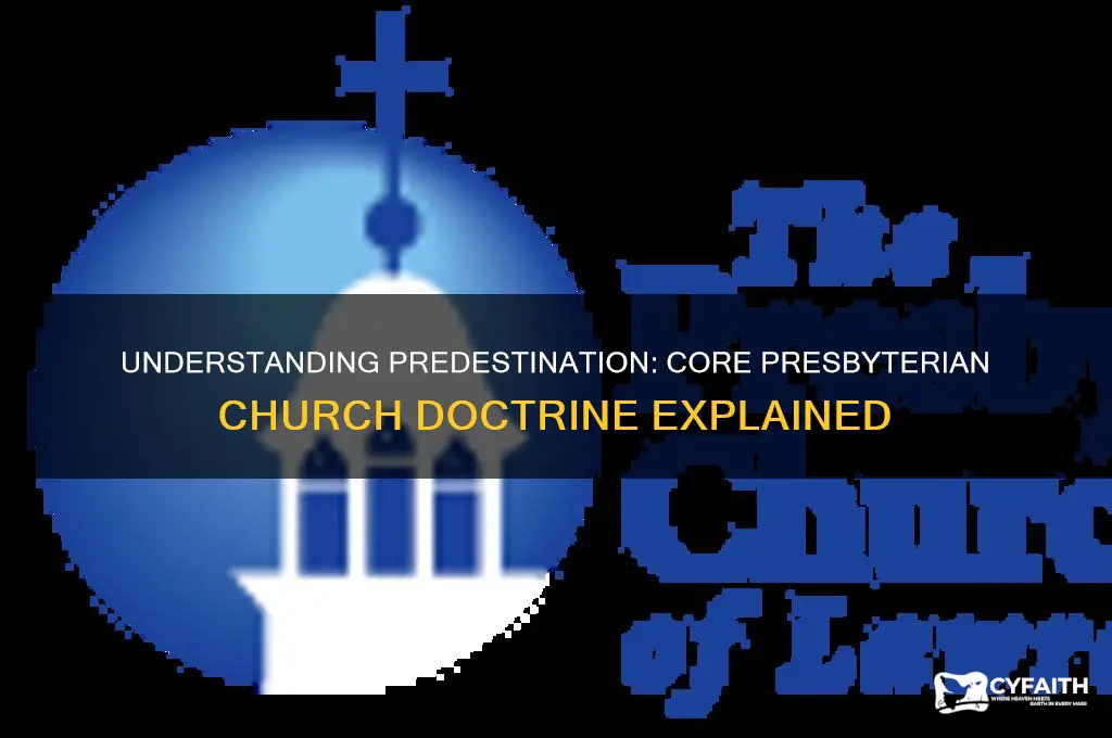 what is presbyterian church doctrine on predestination