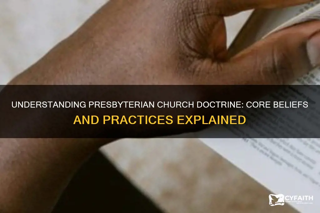 what is presbyterian church doctrine