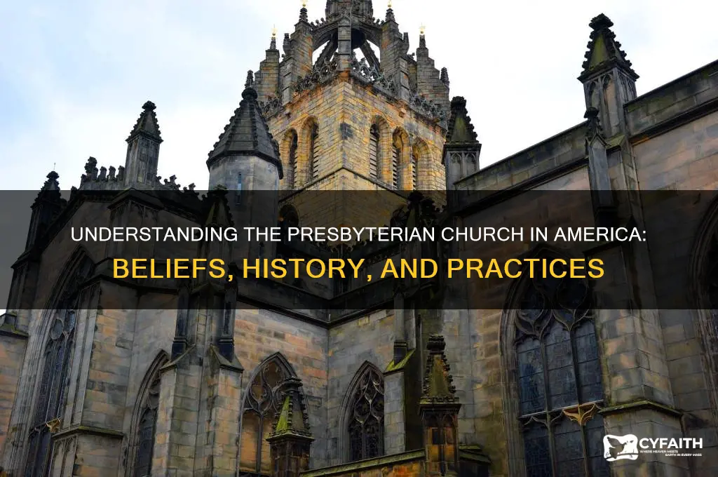 what is presbyterian church of america
