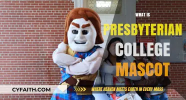 Discover Presbyterian College's Unique Mascot: The Blue Hose Story
