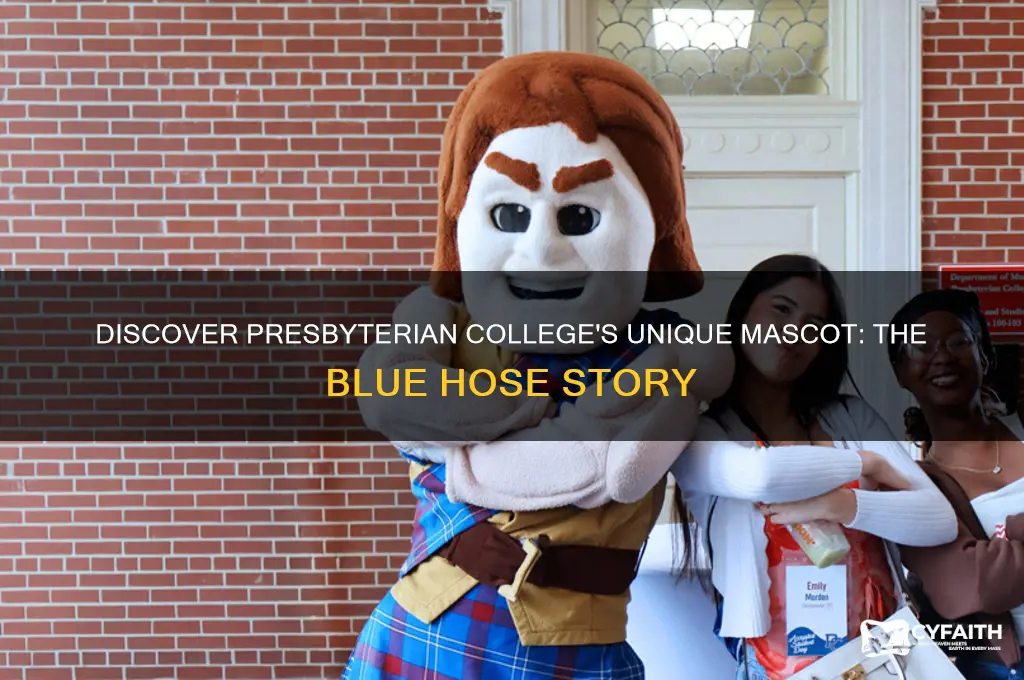 what is presbyterian college mascot