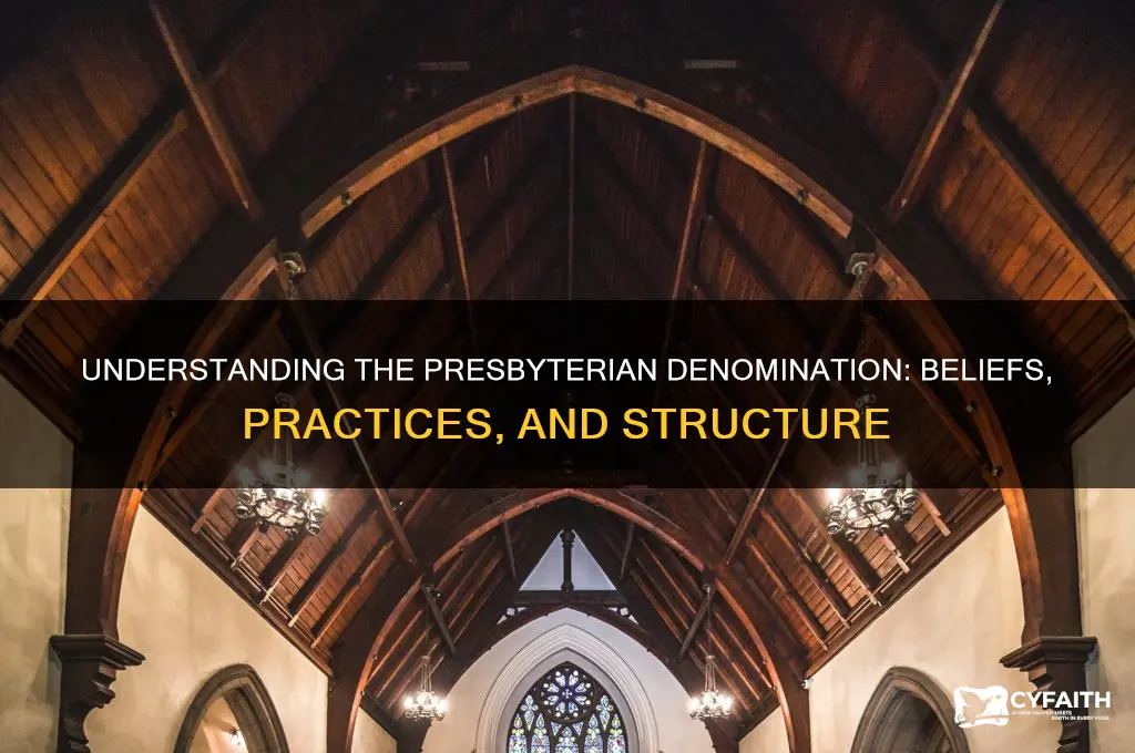 what is presbyterian denomination