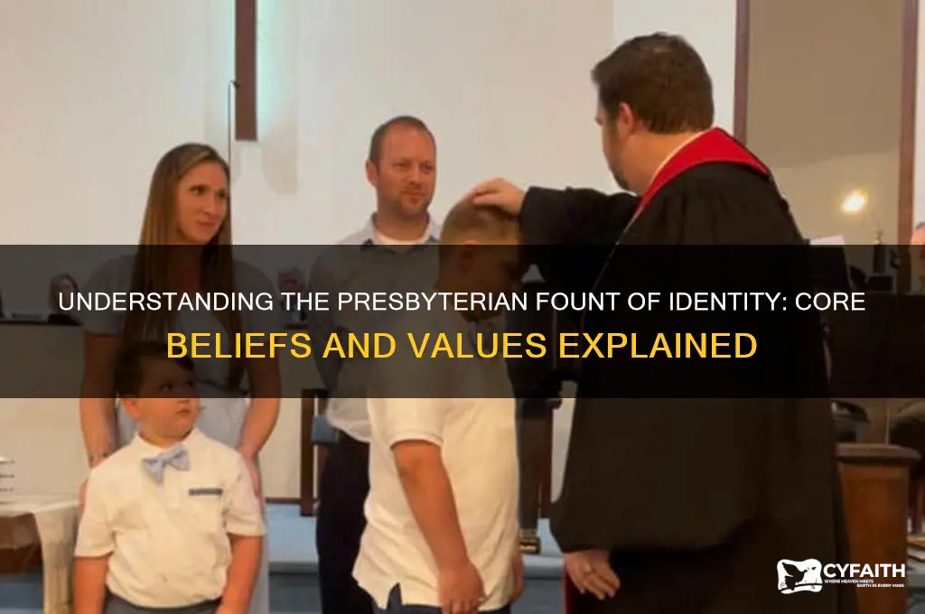 what is presbyterian fount of identity