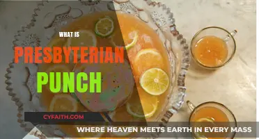 Exploring Presbyterian Punch: History, Recipe, and Cultural Significance
