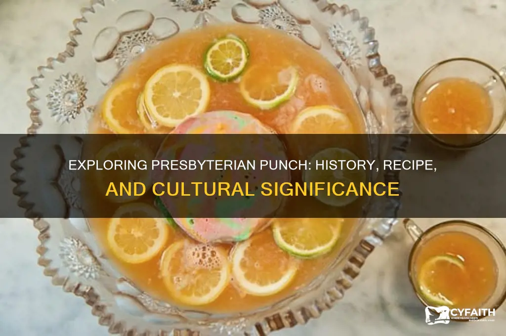 what is presbyterian punch