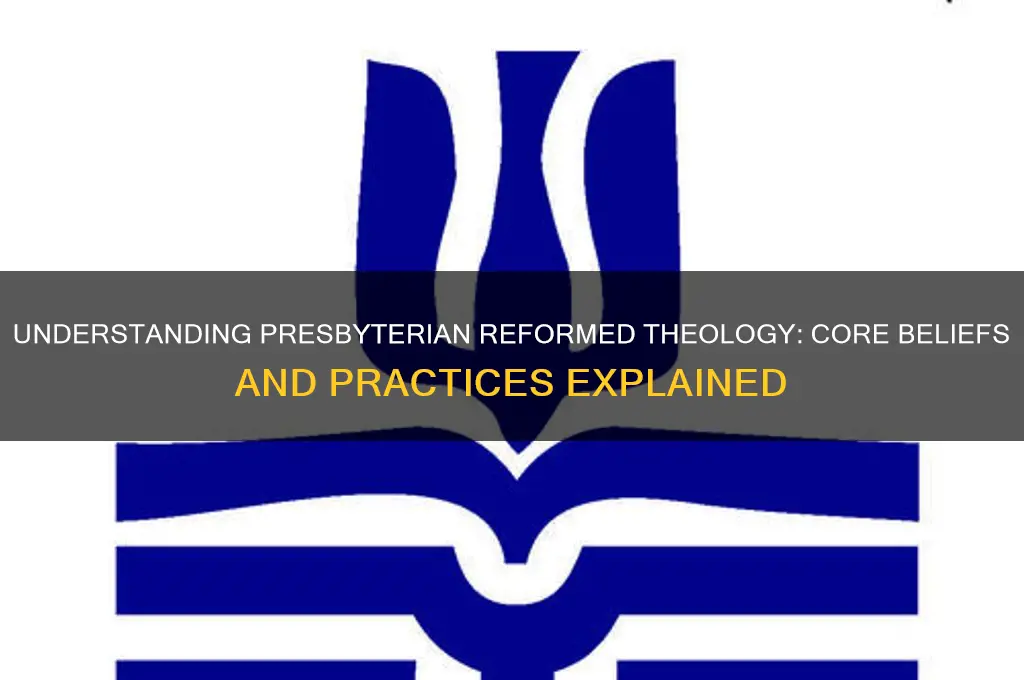 what is presbyterian reformed theology