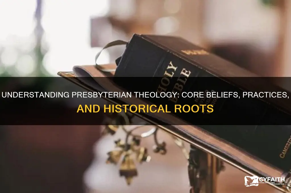 what is presbyterian theology