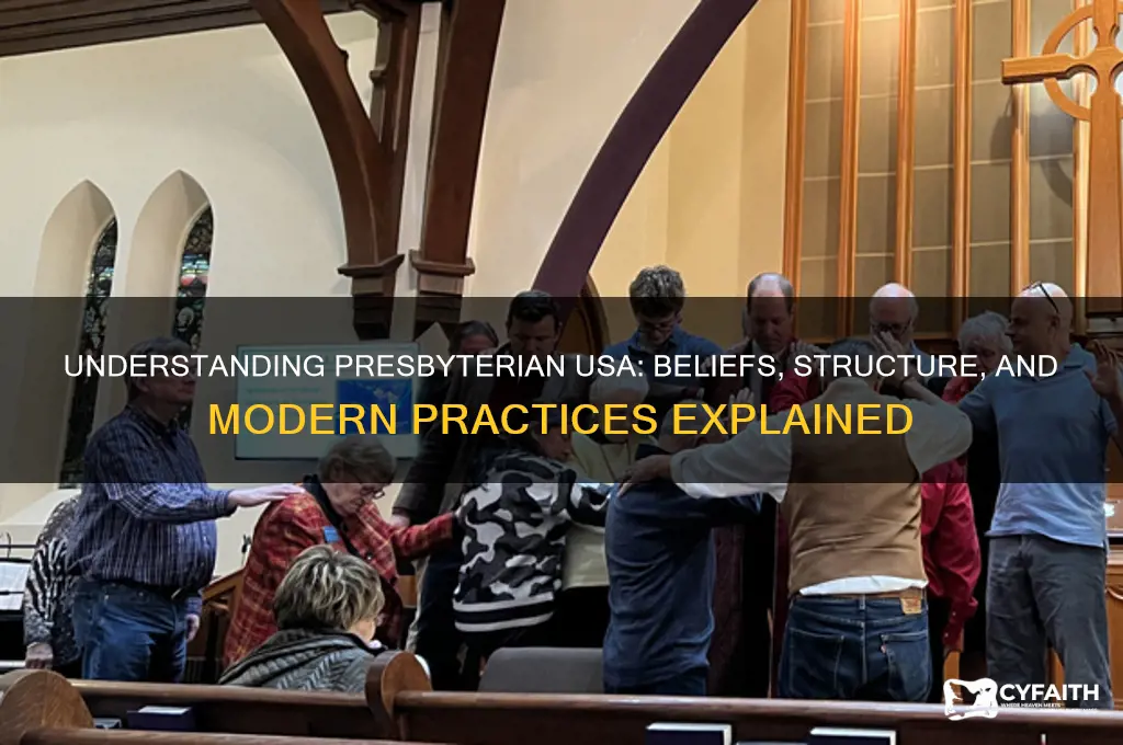 what is presbyterian usa