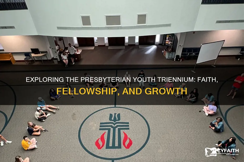 what is presbyterian youth triennium