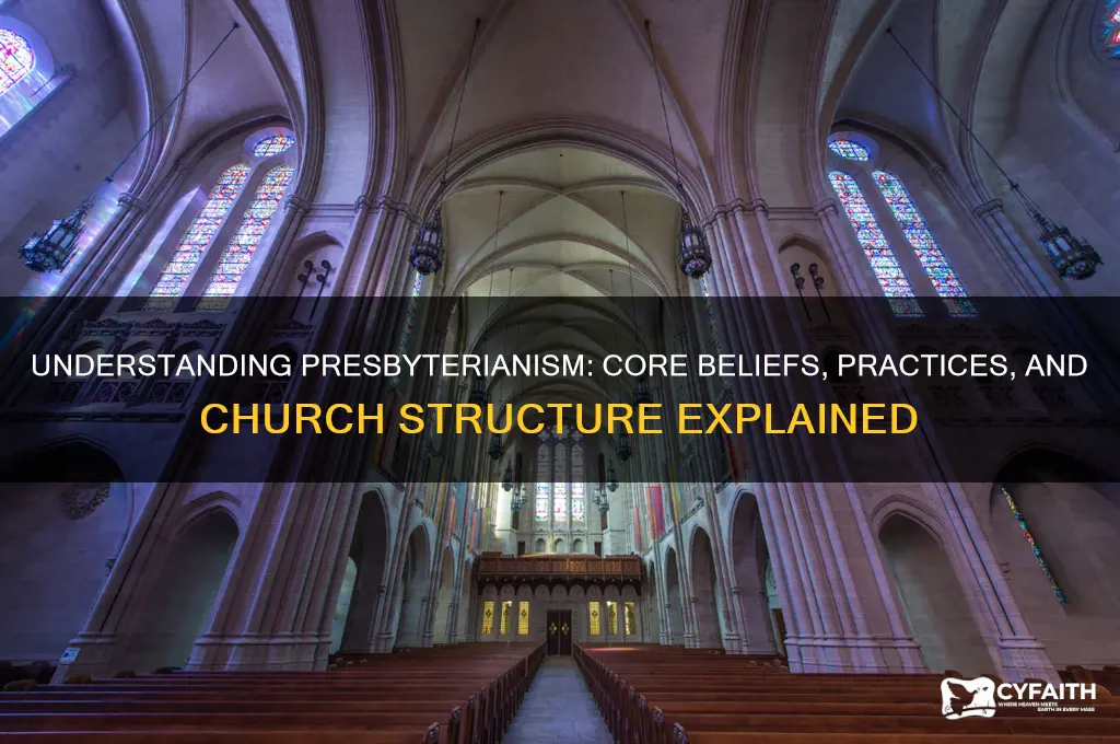 what is presbyterianism