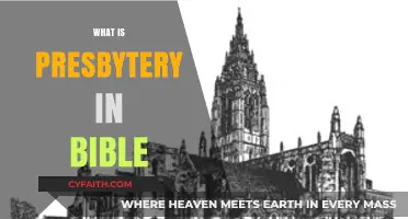 Understanding Presbytery: Biblical Role, Structure, and Significance Explained