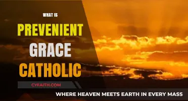 Understanding Prevenient Grace in Catholic Theology: A Comprehensive Guide