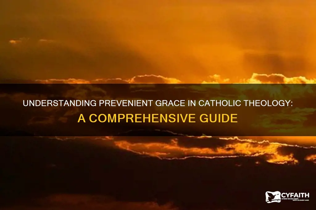 what is prevenient grace catholic