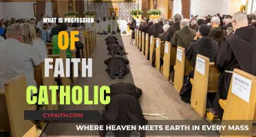 Understanding the Catholic Profession of Faith: Beliefs, Practices, and Significance