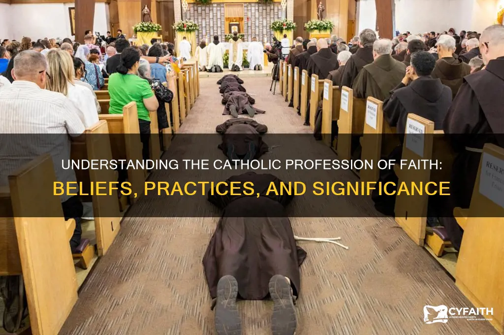 what is profession of faith catholic