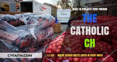 Understanding Project Feed: Catholic Church's Mission to Combat Hunger